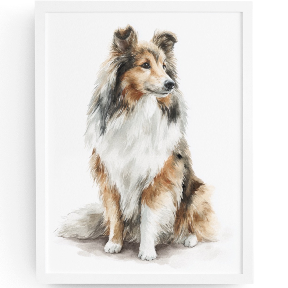Watercolor Sheltie Dog Portrait Wall Art Print - Illustration Poster Unframed